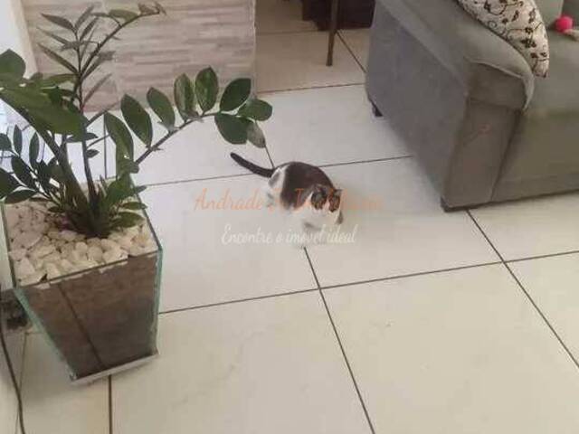 Apartamento para Venda em Sorocaba - 3