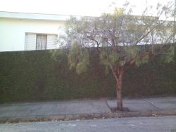 Casa para Venda em Sorocaba - 3